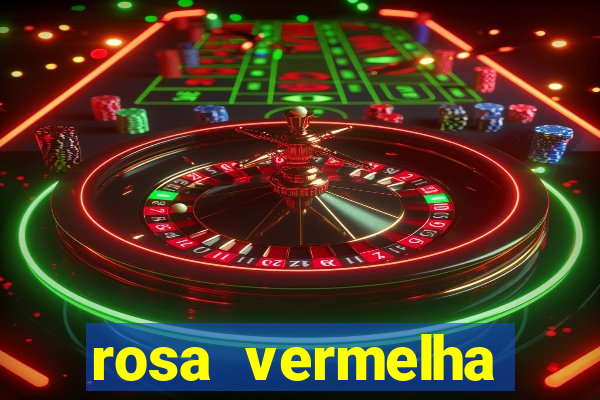 rosa vermelha (letra e cifra)